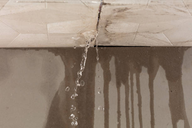 Professional Water Damage Inspection technician working in Winnebago, MN